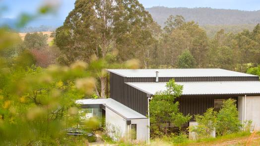 Modern home surrounded by greenery, featuring Lysaght external cladding for durability and style.