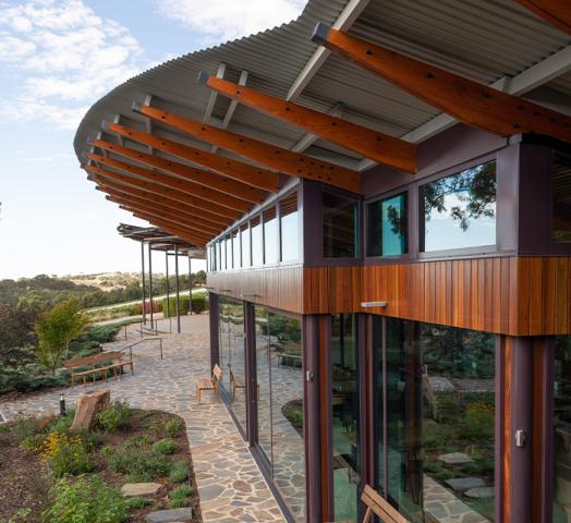 Architectural design featuring a curved metal roof, timber supports, and a glass façade.